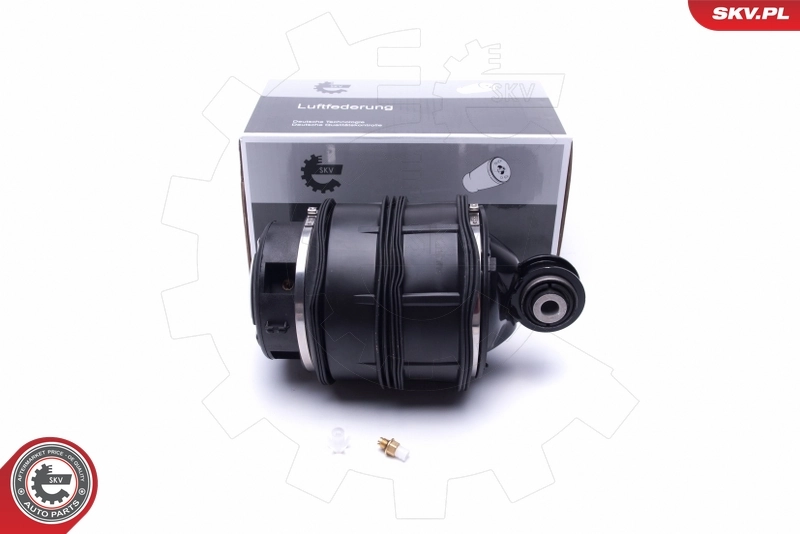 Air Spring, suspension